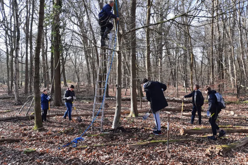 wk10stageeen1000puntenboom spreekt wel aan