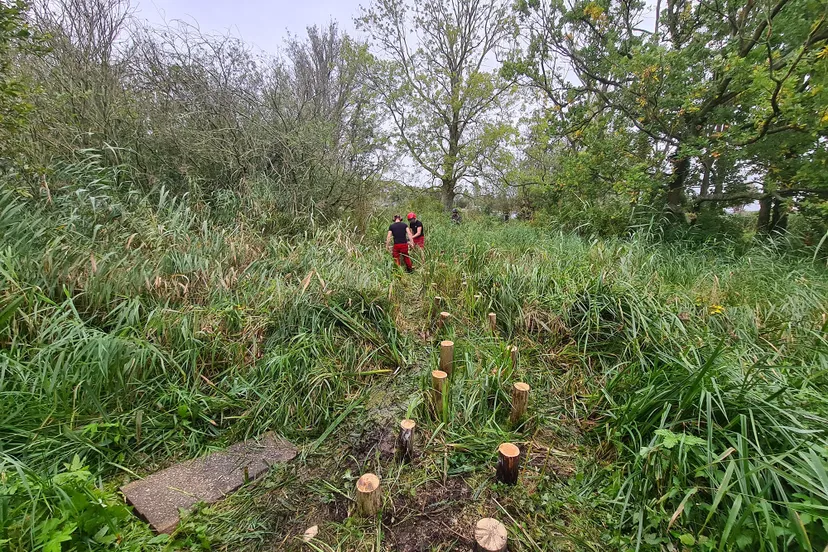 wk39 pad door moeras