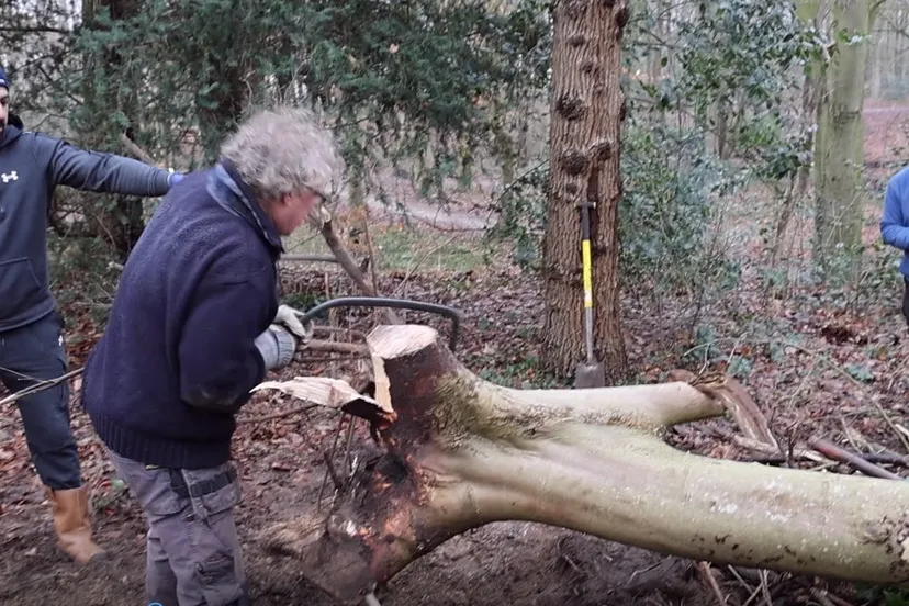 wk3esdoorns en iepen