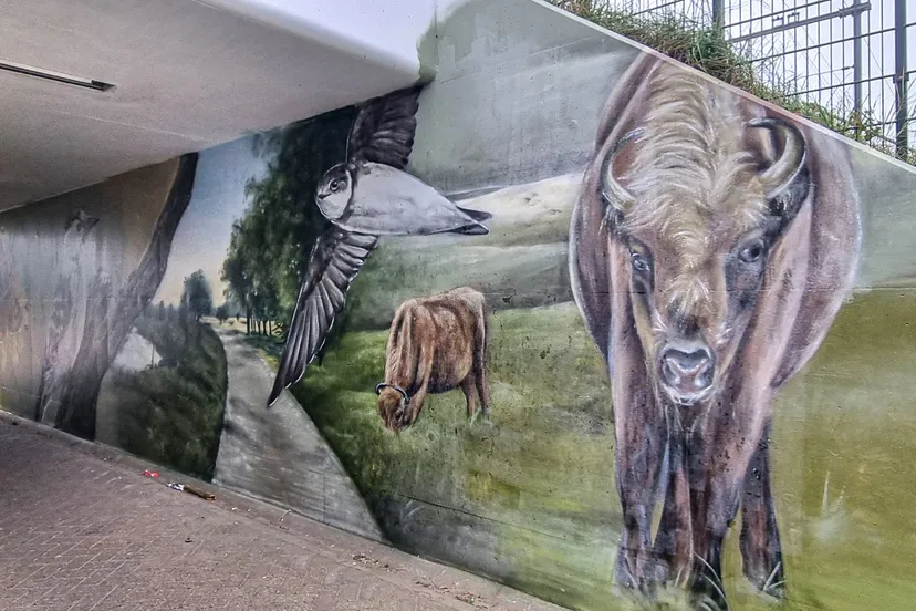 20241106 110935 cover