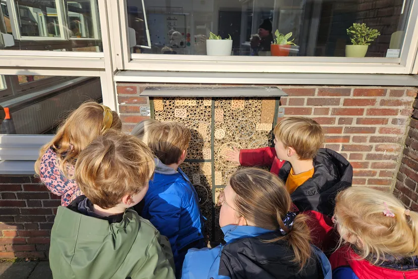 perberichtinsectenhotel mambo bso