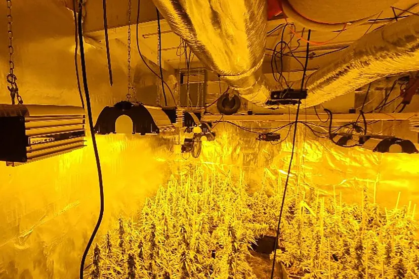 politie2018imageset_genericlandscape (2) kopiëren