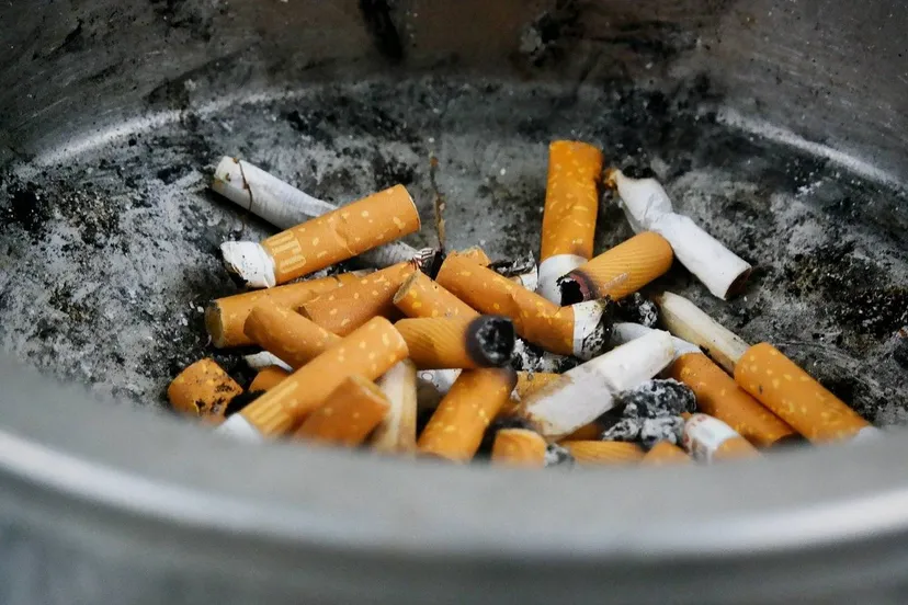 cigarette-butts-5056961_1920