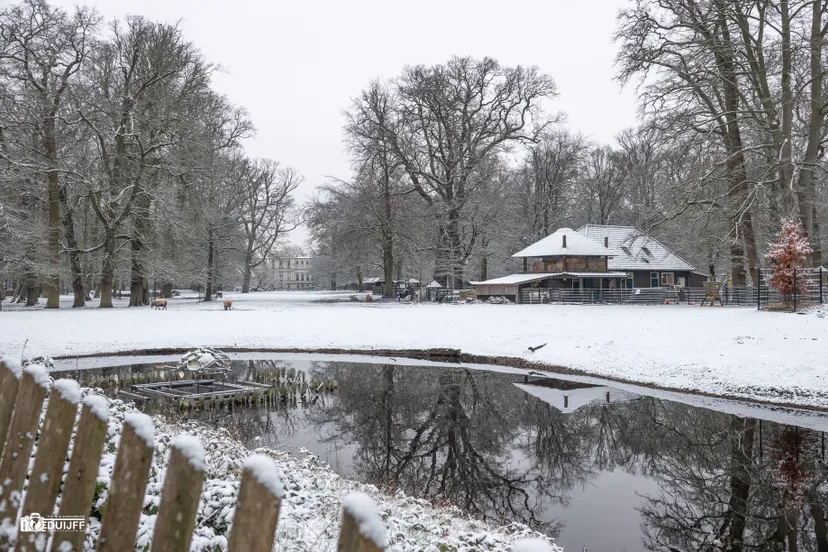 H Hout Provinnciehuis SONY