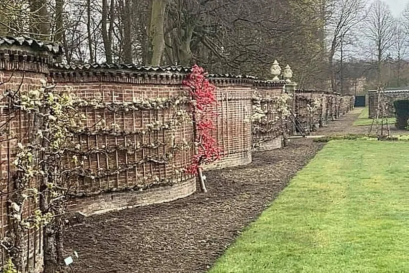 Slangemuur van Bas voor persbericht 2026