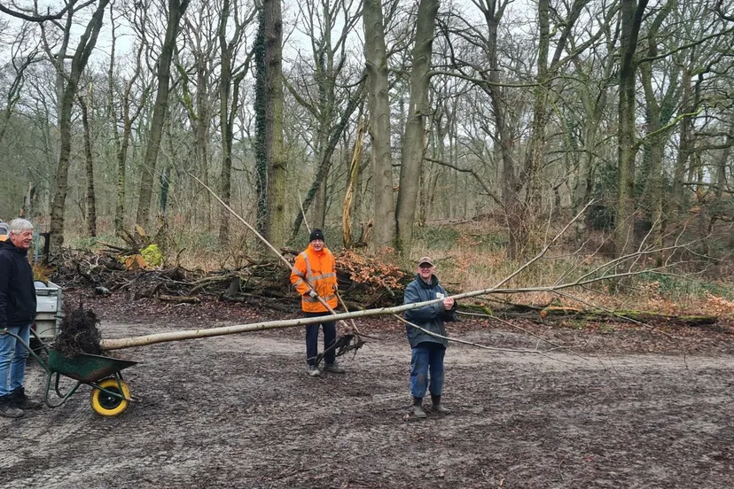 heemstede natruur nieuws15 febr grote linde
