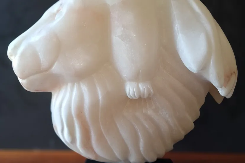 LionsgateCarlaVeldman