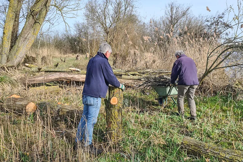 natuur nieuwsheemstede22 maart boom meermond