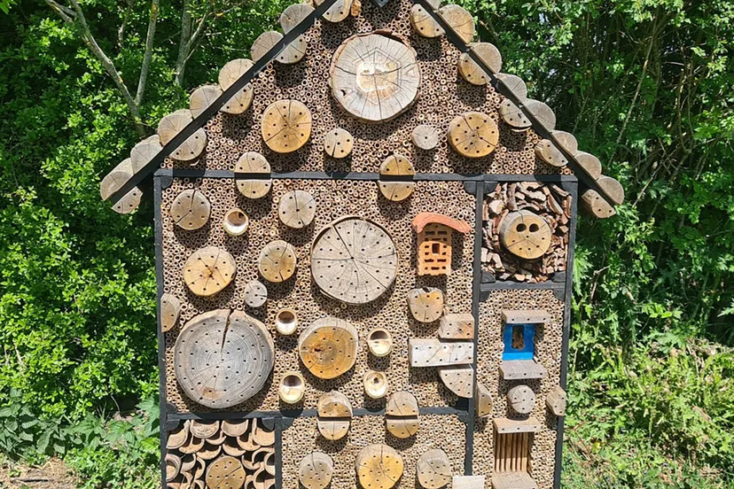 heemstede natuur nieuws 26 april  het druk bezochte insectenhotel op meermond