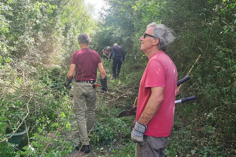 natuur nieuws heemstede 5 juli tunnels worden weer paden
