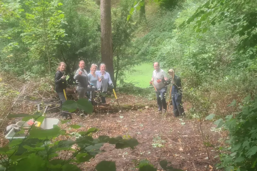 heemstede natuurnieuws 23 augustus  er ontstaat orde uit chaos bij de belevedere