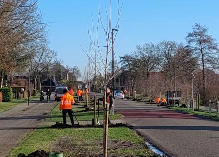 IMG-20260115-WA0000-768x1024