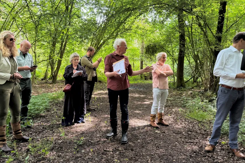 Rapport De oudste bossen van Fryslân_2