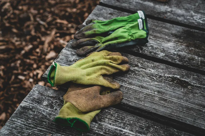 tuinieren tuinhandschoenen unsplash