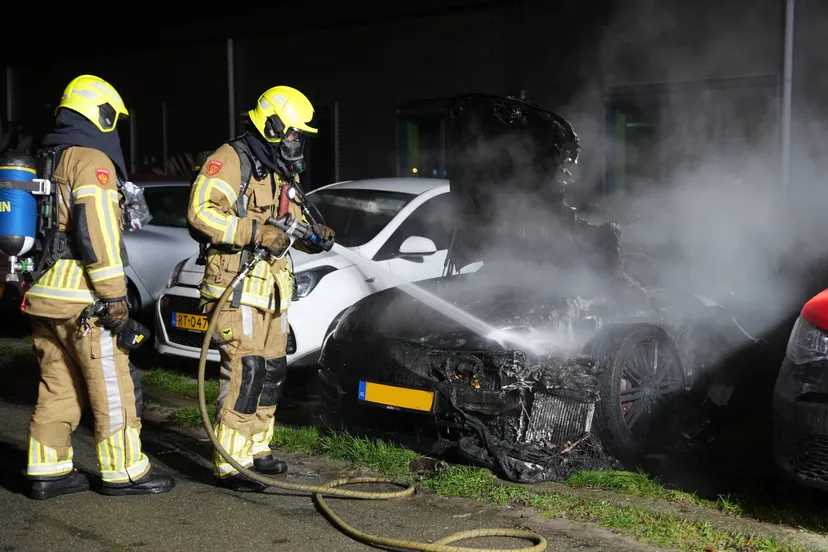 DSC02424_resized kopiëren