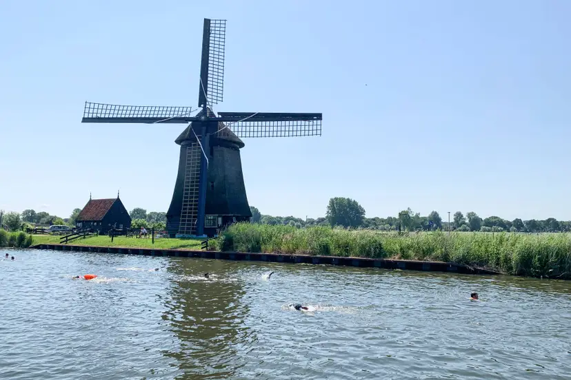 Zwem langs de klassieke molens tijdens Open Water Alkmaar kopie