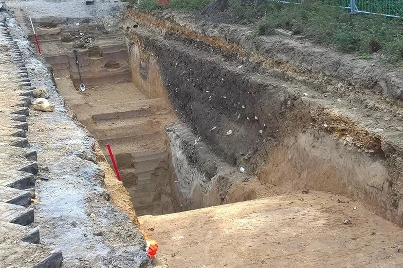 103116781 2994477537297398 9031754441434136375 o