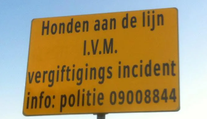 11043012 474482209372587 4020593057948092067 n