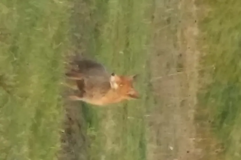 2015 04 17 200733 kopie 1 e1429299776712