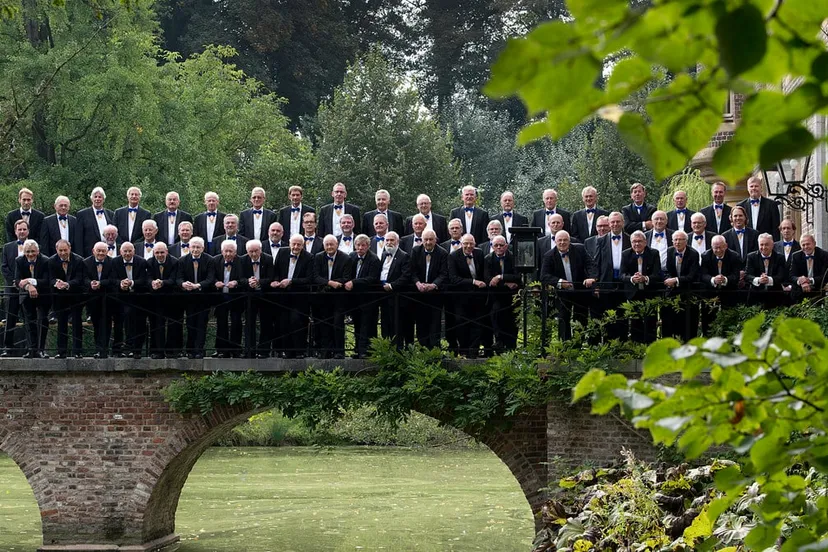 220913mvh53 1200pxbruggebogen e1429015943833