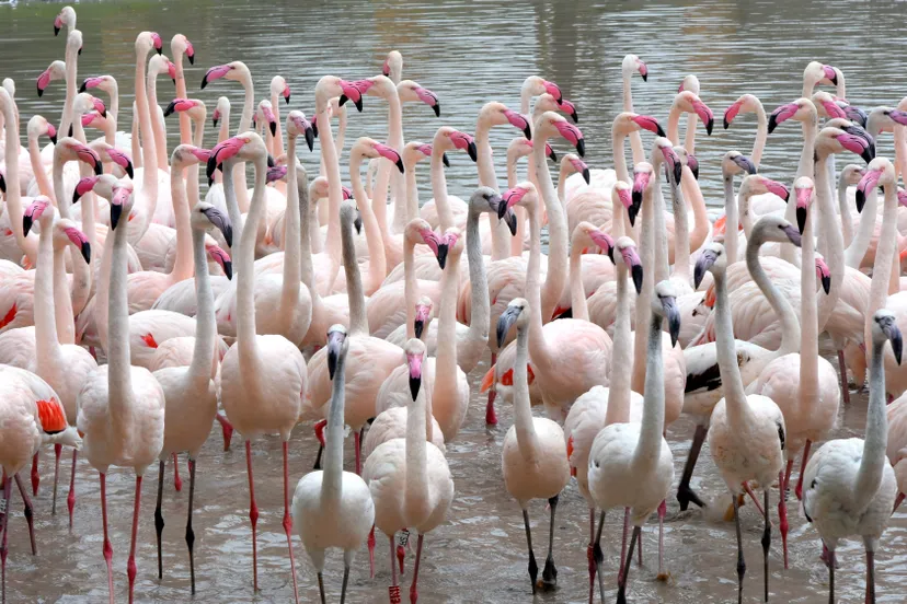 260 ceb61e9a0d83b0f954a723ad90bf84f5