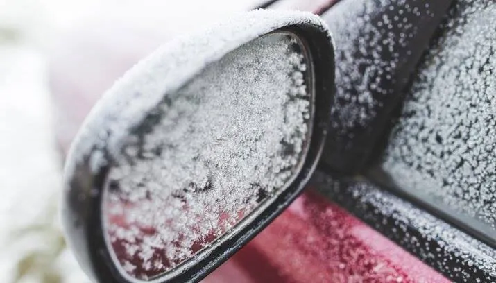 28166991 2035564170054925 2651843262328989245 n