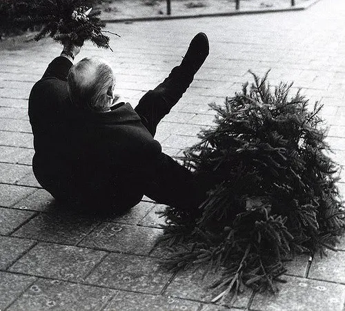 3118323340 53e77e40cc z