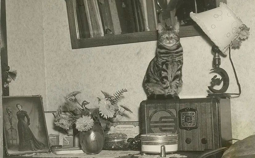 3282801241 aae04ce547 b11