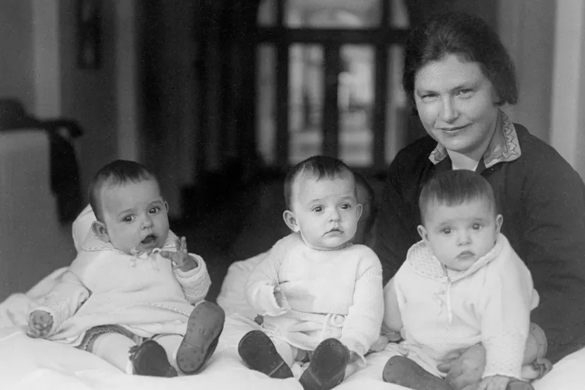 37904717 1116419165179064 6962221409351237632 o e1533047545725