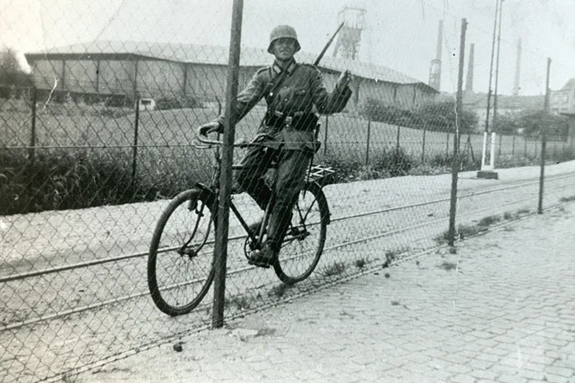 69264048 1399183786902599 4138696255259803648 o