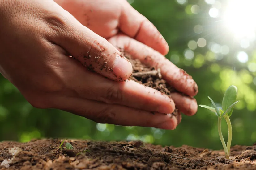 afb compost bij rd4 2020 1