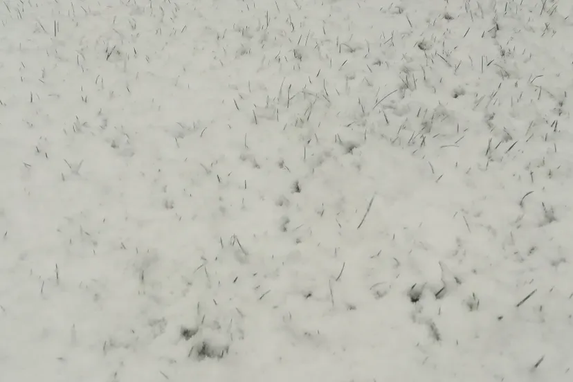 afgelasting sneeuw e1512904348956