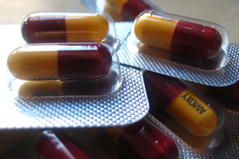 antibiotica sheep purple via fotercom cc by e1455136261881