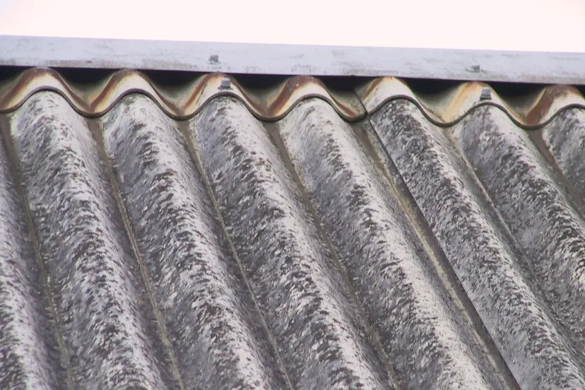 asbest dakplaten wikimedia e1476124210716