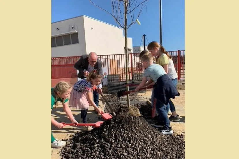 boom planten 1000 bomen plan 3