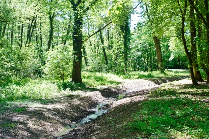 bovenste caumen 1024x576 1