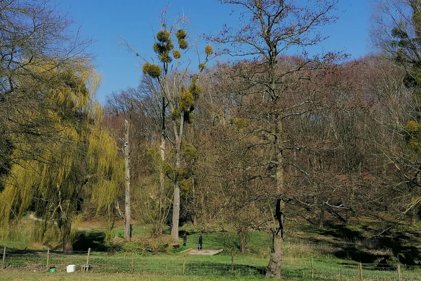 caumerbeekdal heerlen zuid