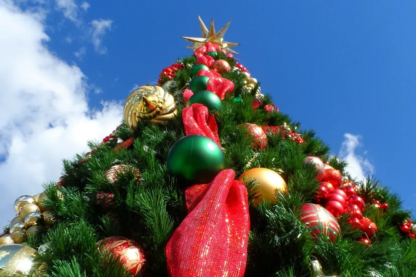 christmas tree cco public domain e1513511342131