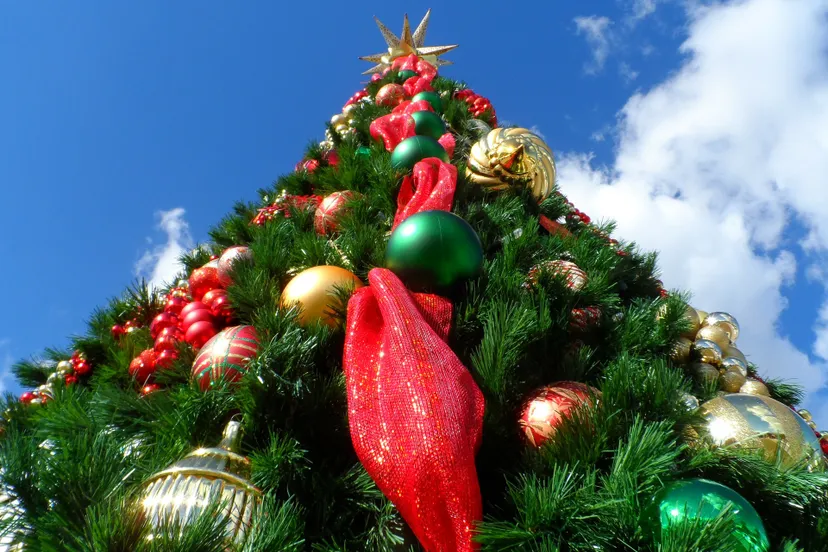 christmas tree cco public domain