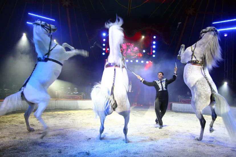 circus louis knie 8 e1477477818427
