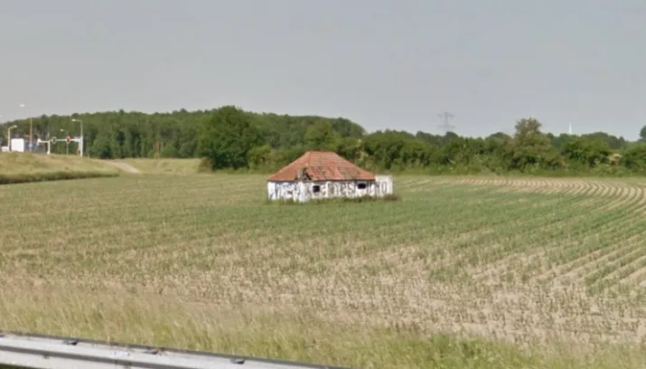 dombo en de kikker1 715x408