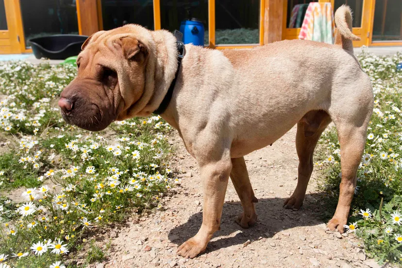 dsc6233 e1426245348517