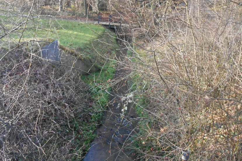 dscn0806 e1473436461577