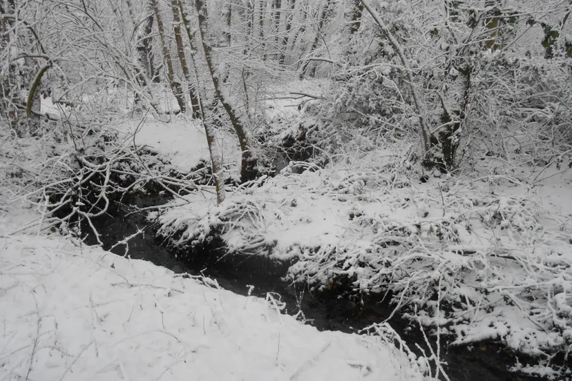 dscn0894 e1425329939427