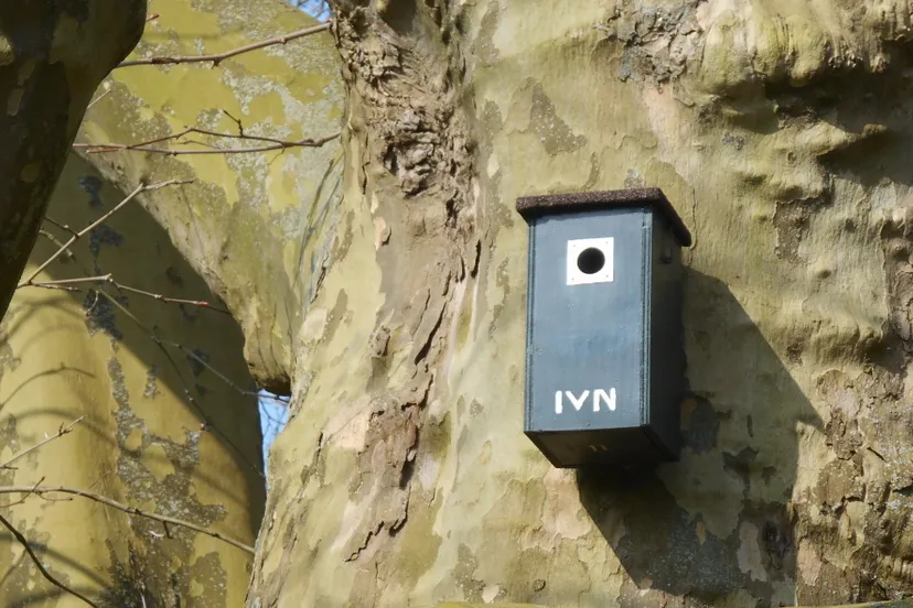 dscn1449 e1437330782345