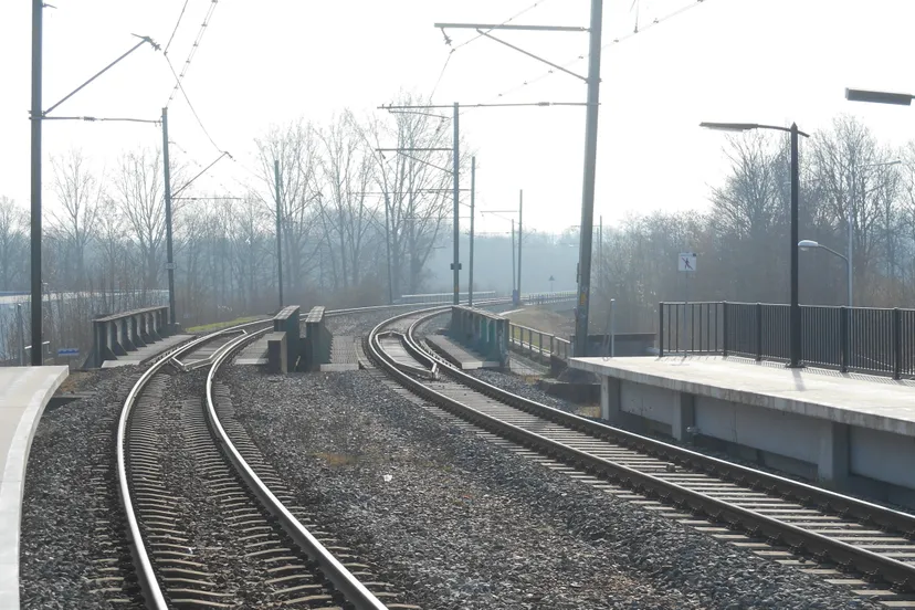 dscn1462 e1428603799725