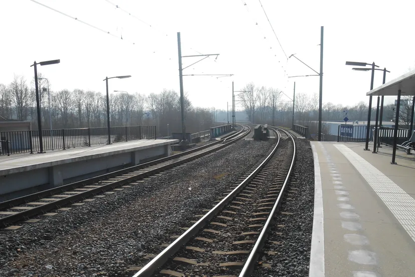 dscn1463 e1427964926115