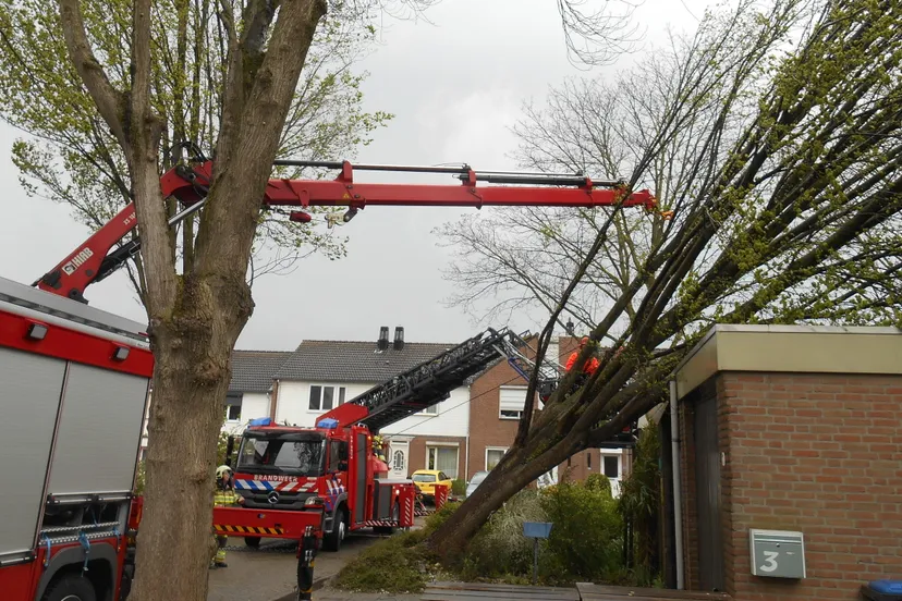 dscn16971 e1430833276854