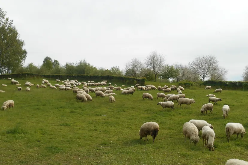 dscn1732 e1490963492990