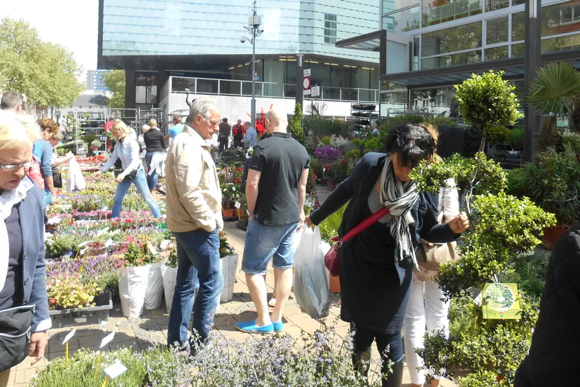 dscn17411 e1431610816508